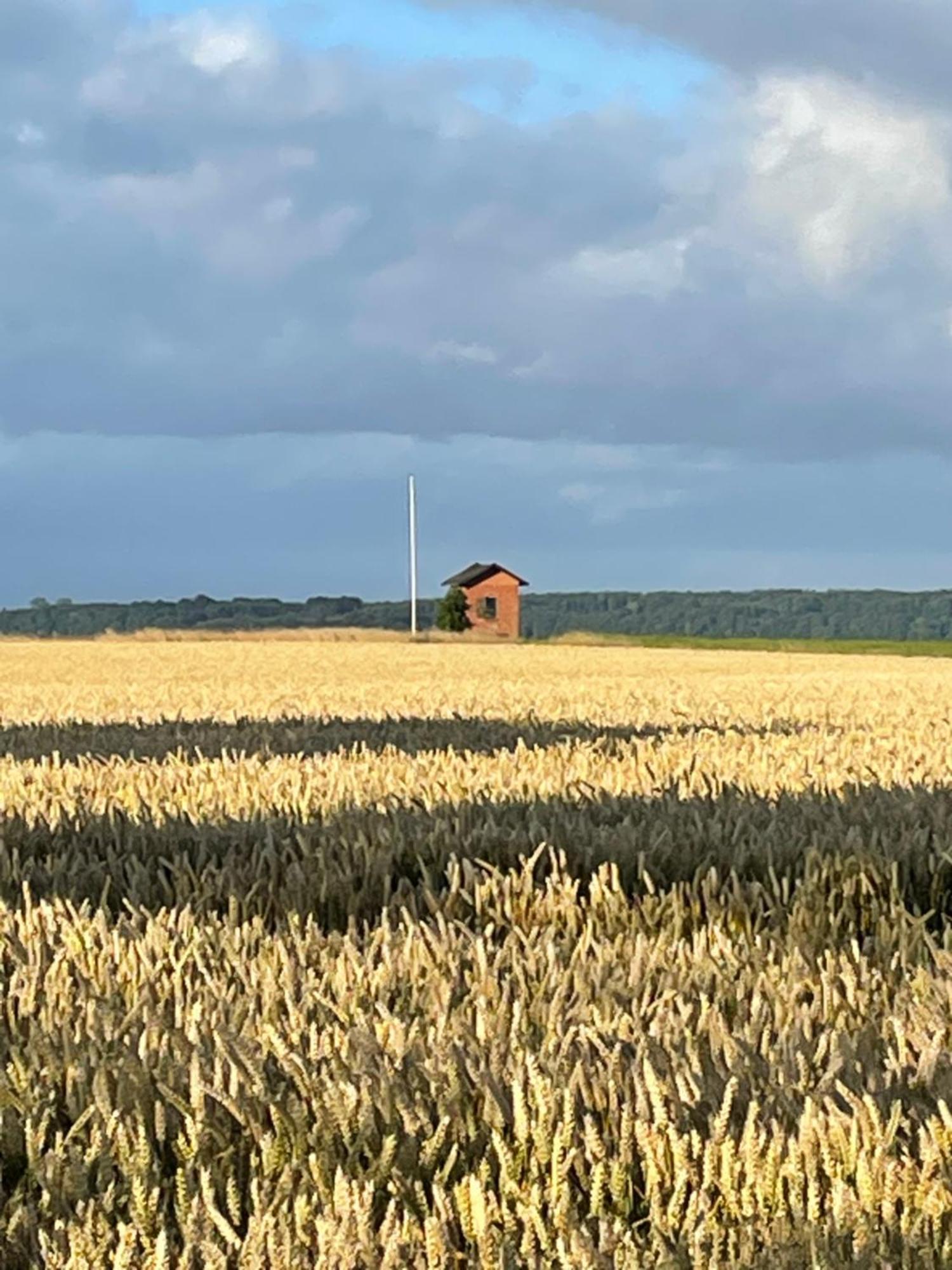 Sovgodt Nyord - Primitiv Overnatning Exterior foto